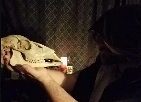 A cloaked sorcerer holding and facing a deer skull in a candle lit room.