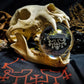 Belial sigil crystal ball with bear skull